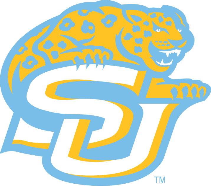 Southern Jaguars 2001-Pres Alternate Logo v3 diy iron on heat transfer